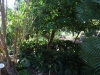 2012-10-21-at-11-57-19