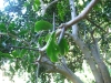 2012-10-21-at-12-02-06