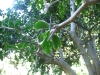 2012-10-21-at-12-02-33