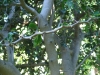 2012-10-21-at-12-03-09