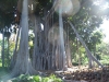 2012-10-21-at-12-06-37
