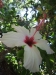 2012-10-21-at-12-09-41