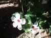2012-10-21-at-12-10-24