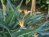 2012-10-21-at-12-11-30