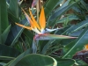 2012-10-21-at-12-12-23