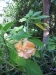 2012-10-21-at-12-17-02
