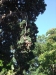 2012-10-21-at-12-29-04