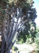 2012-10-21-at-12-29-30