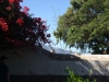 2012-10-21-at-12-30-41