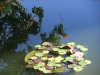 2012-10-21-at-12-32-21