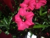 2012-10-21-at-12-32-48