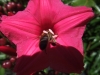 2012-10-21-at-12-33-20