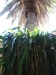 2012-10-21-at-12-35-46