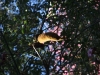 2012-10-21-at-12-36-35