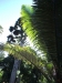 2012-10-21-at-12-46-03