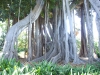2012-10-21-at-12-49-39