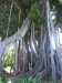 2012-10-21-at-12-49-49