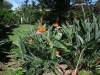 2012-10-21-at-13-48-07
