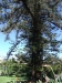 2012-10-21-at-13-48-21