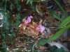 2012-10-21-at-13-54-29