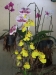 2012-10-21-at-13-57-22