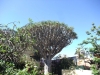 2012-10-21-at-14-00-30