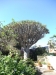 2012-10-21-at-14-00-35
