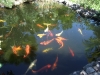 2012-10-21-at-14-07-12