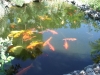2012-10-21-at-14-07-22