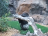 2012-10-23-at-10-31-27-1