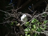 2012-10-23-at-15-38-27