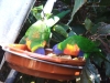 2012-10-23-at-15-43-09