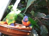 2012-10-23-at-15-43-15