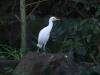 2012-10-23-at-15-47-12