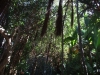 2012-10-23-at-15-52-47
