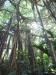 2012-10-23-at-15-58-17