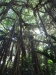 2012-10-23-at-15-58-22
