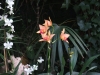 2012-10-23-at-16-57-31