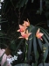 2012-10-23-at-16-57-42