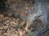 2012-10-23-at-17-07-30