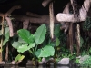 2012-10-23-at-17-12-55
