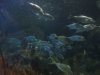 2012-10-23-at-17-20-25