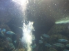 2012-10-23-at-17-21-14