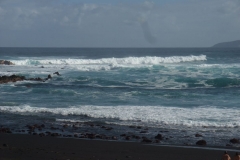 2012 Teneriffa - Puerto de la Cruz - Allgemein