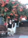 2012-10-21-at-11-06-58