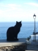 2012-10-21-at-11-26-11-1