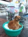 asien-2013-03-30-18-02-48