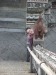 asien-2013-03-06-16-50-30