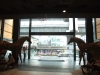 asien-2013-03-07-15-29-33
