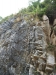 asien-2013-03-22-12-02-22